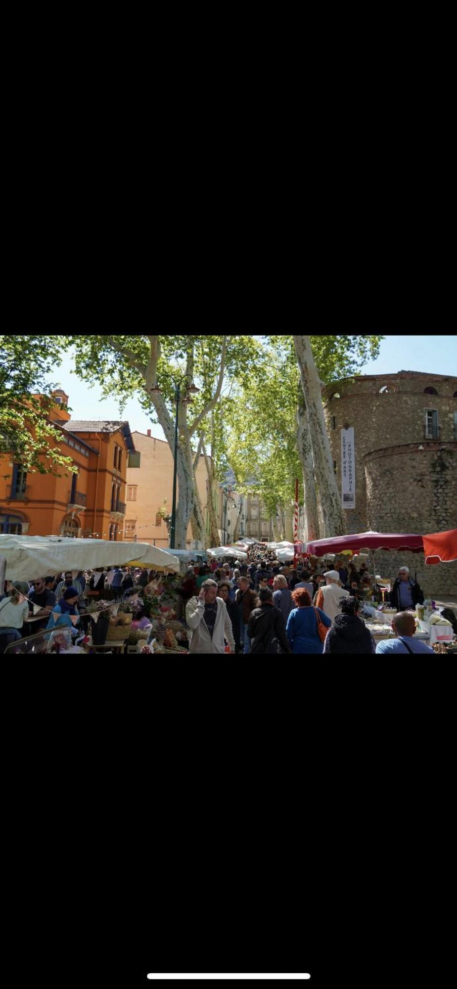 Maison De Vacances Le Bosquet Céret Eksteriør bilde